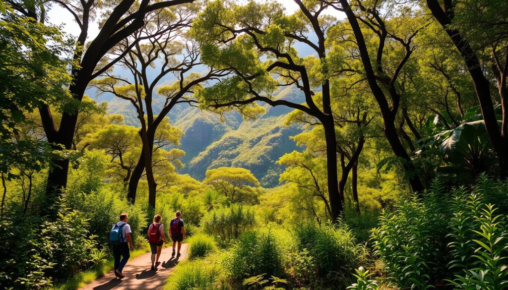 Outdoor-Aktivitäten Madeira Outdoor-Aktivitäten Madeira