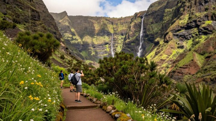Levadas Wanderungen Madeira: Ihr perfekter Guide