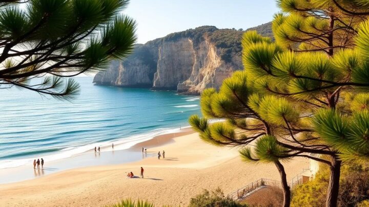 Praia dos Pinheiros: Ihr Urlaubsparadies in Portugal