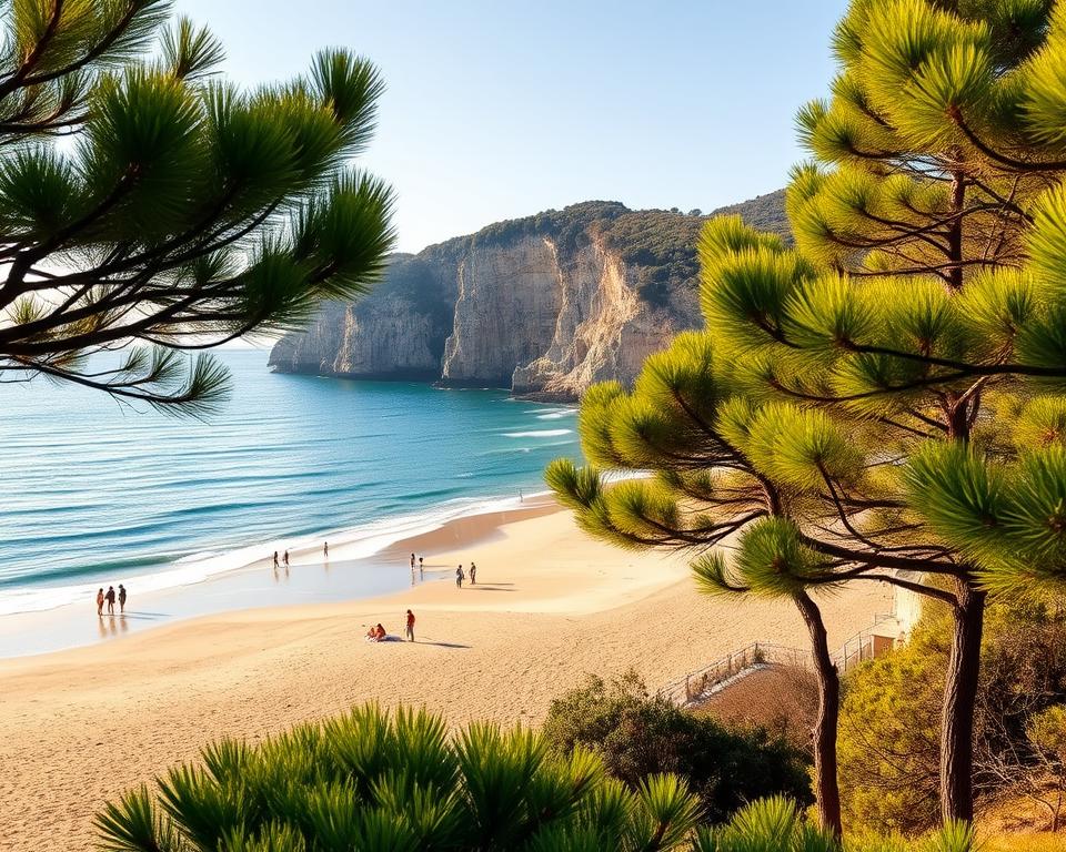 Praia dos Pinheiros: Ihr Urlaubsparadies in Portugal